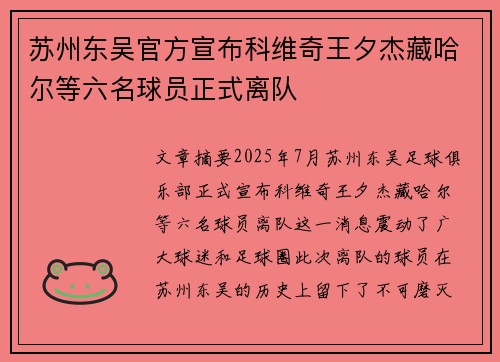 苏州东吴官方宣布科维奇王夕杰藏哈尔等六名球员正式离队